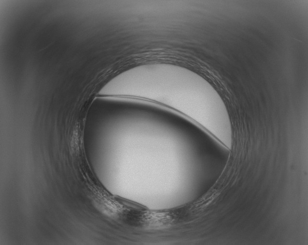 X0000084550333200702230941