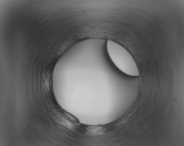 X0000084550334200702230941