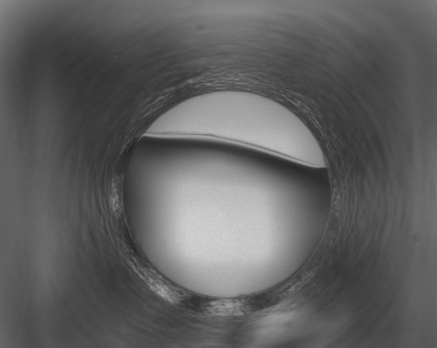 X0000084550335200702230941