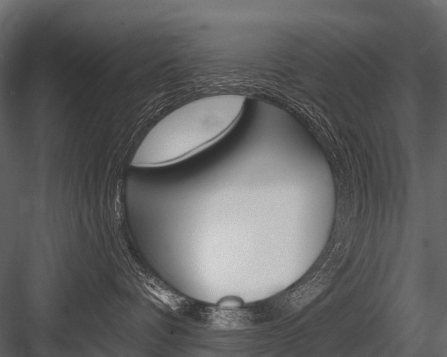 X0000084550336200702230941