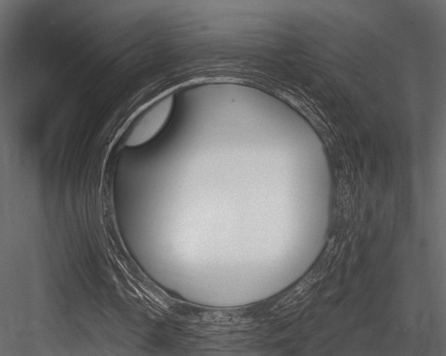 X0000084550338200702230941