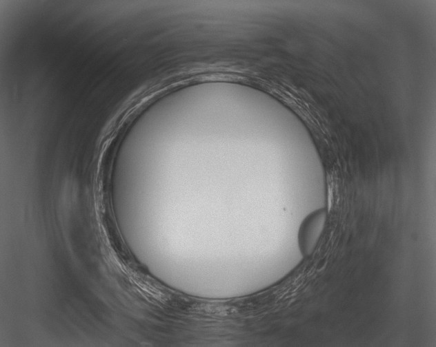 X0000084550339200702230941