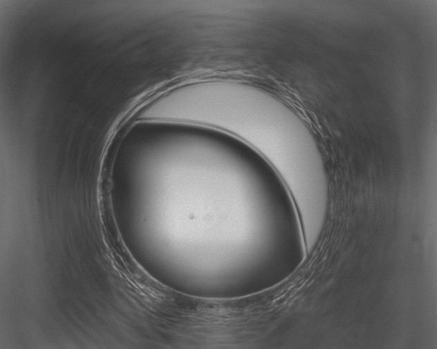 X0000084550340200702230941