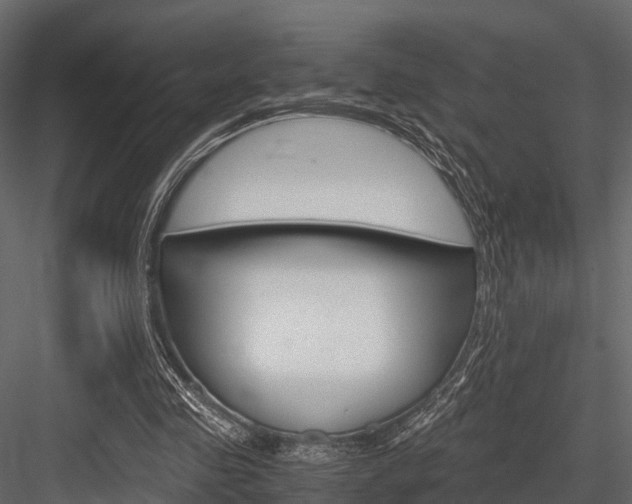 X0000084550341200702230941