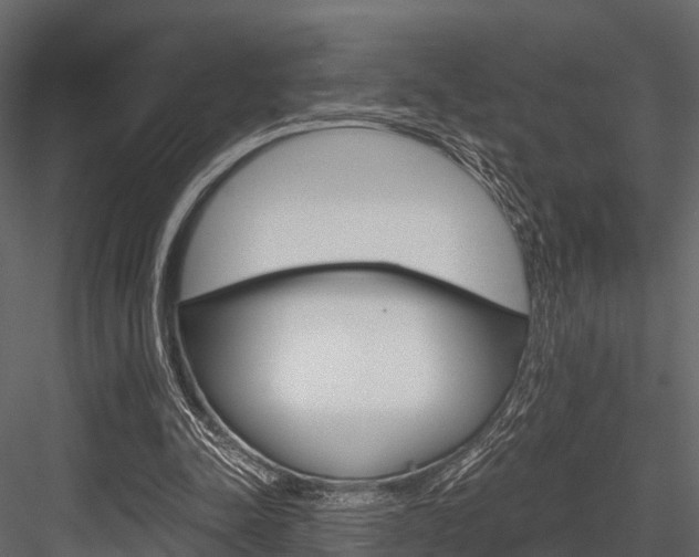 X0000084550342200702230941