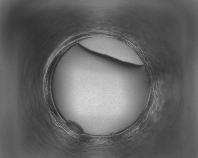 X0000084550343200702230941