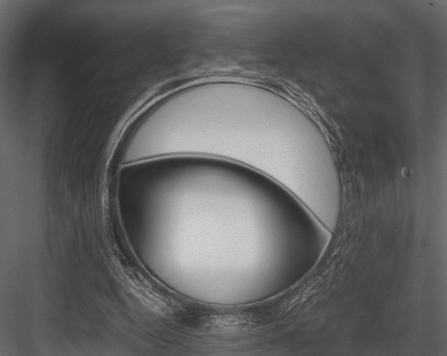 X0000084550344200702230941