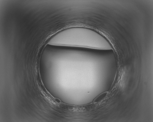 X0000084550345200702230941