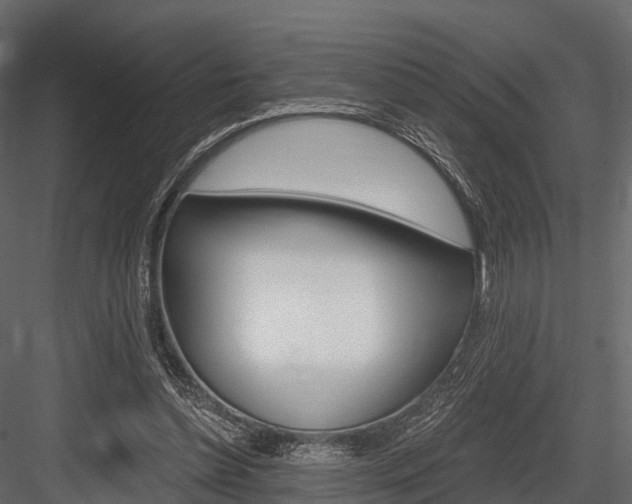 X0000084550348200702230941