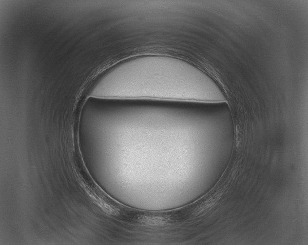 X0000084550349200702230941