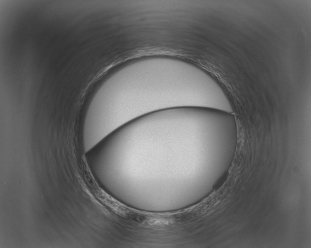 X0000084550352200702230941