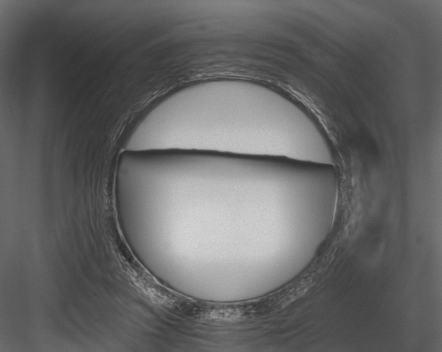 X0000084550353200702230941
