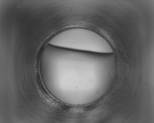 X0000084550354200702230941