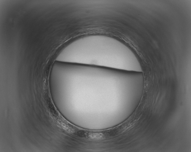 X0000084550355200702230941