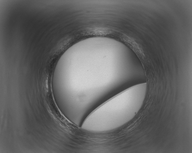 X0000084550358200702230941