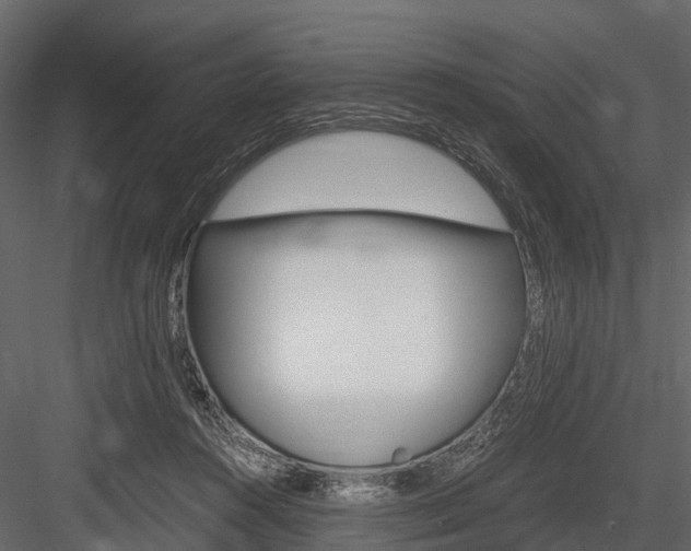 X0000084550360200702230941