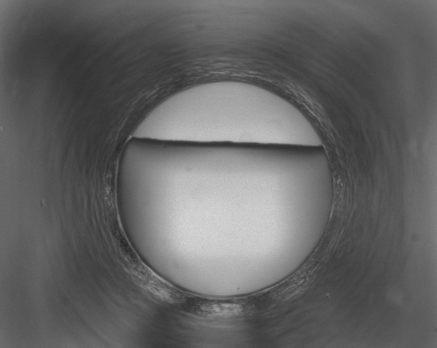 X0000084550361200702230941
