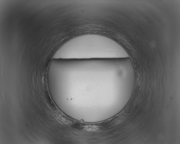 X0000084550363200702230941