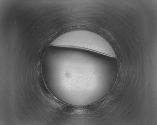 X0000084550364200702230941
