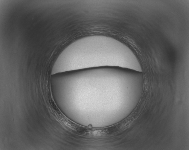 X0000084550365200702230941