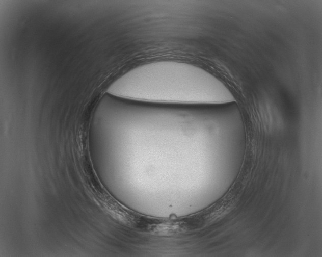 X0000084550366200702230941