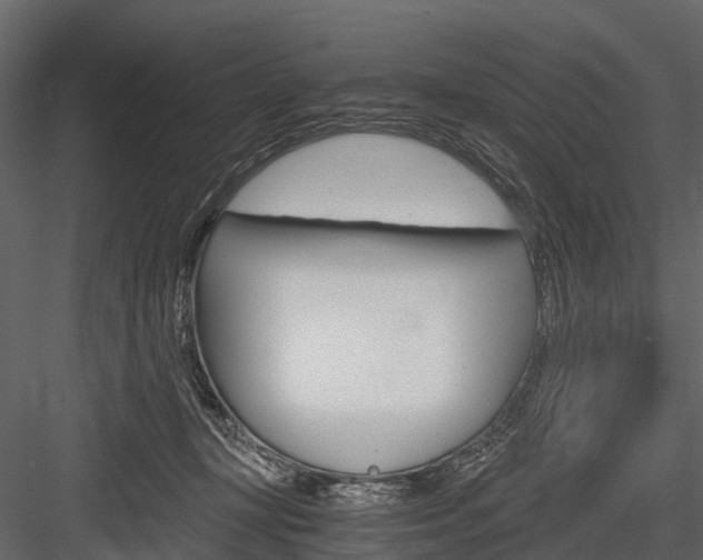X0000084550367200702230941