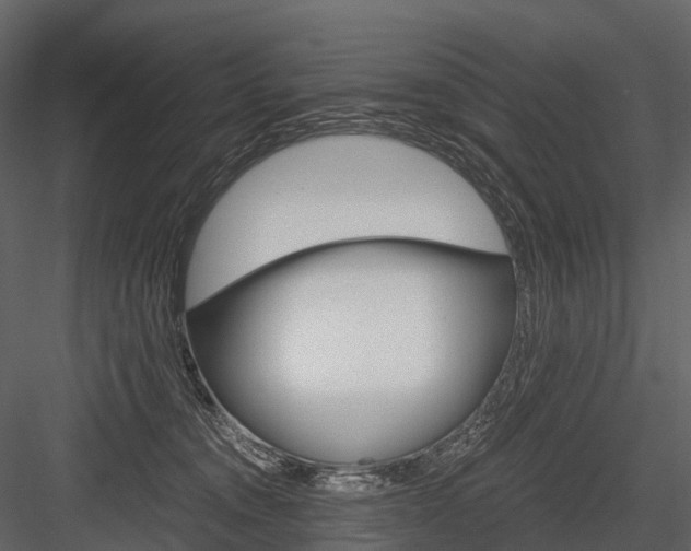 X0000084550372200702230941