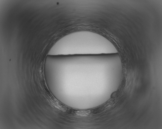 X0000084550373200702230941