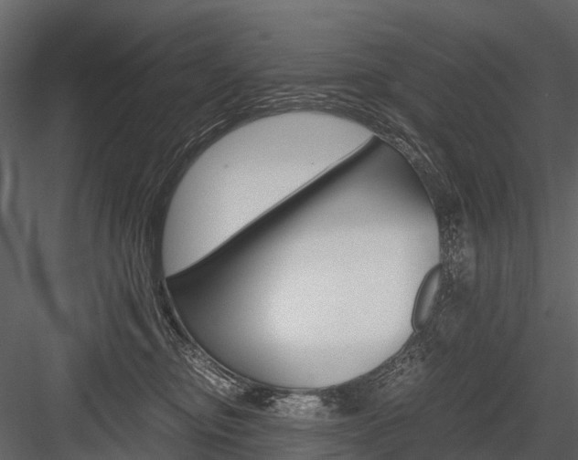 X0000084550374200702230941