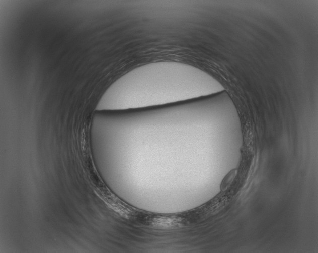 X0000084550375200702230941