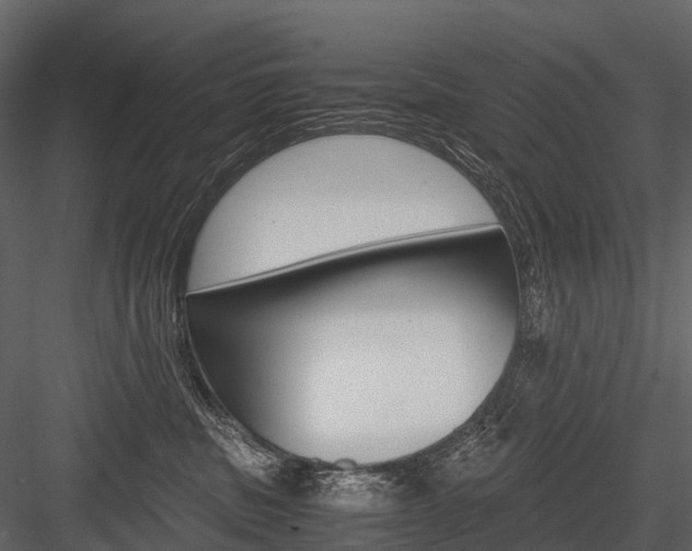 X0000084550379200702230941