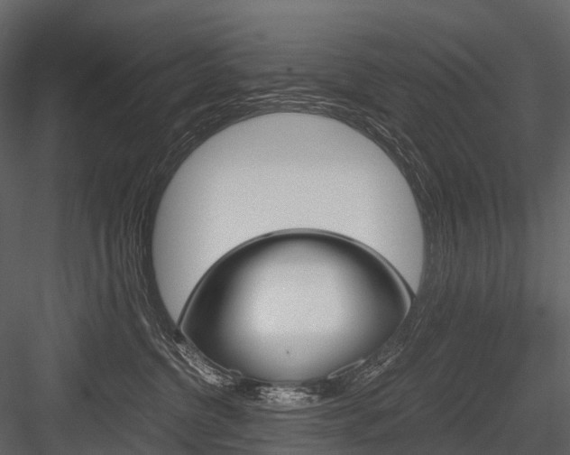 X0000084550380200702230941