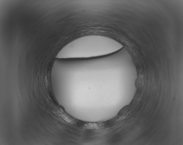 X0000084550381200702230941