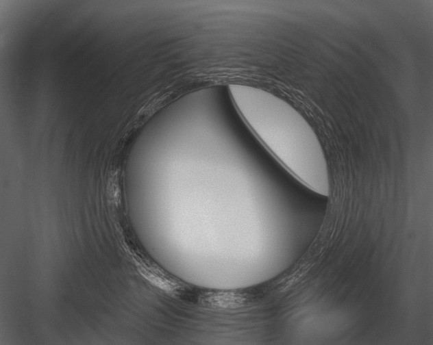 X0000084550383200702230941