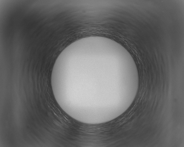 X0000084550384200702230941