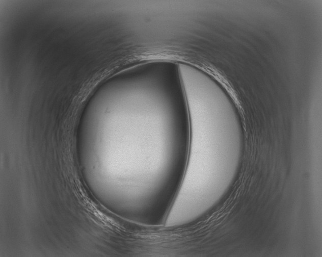 X0000084550385200702230941