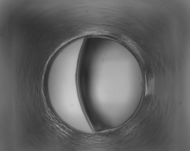 X0000084550387200702230941