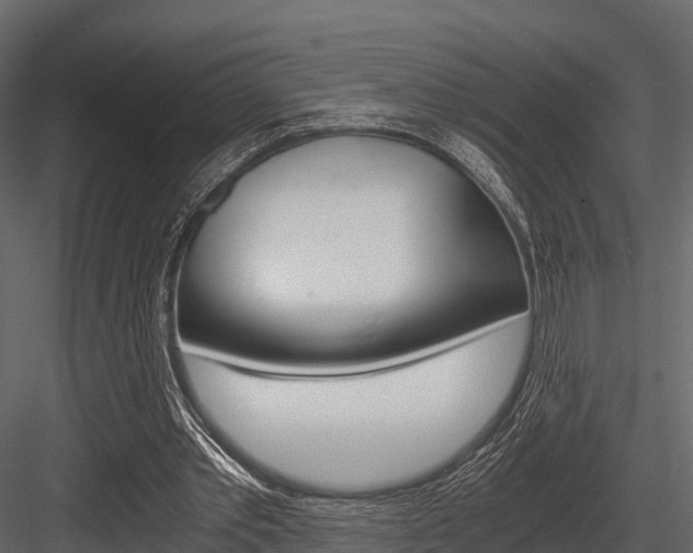 X0000084550389200702230941