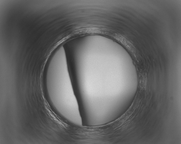 X0000084550390200702230941