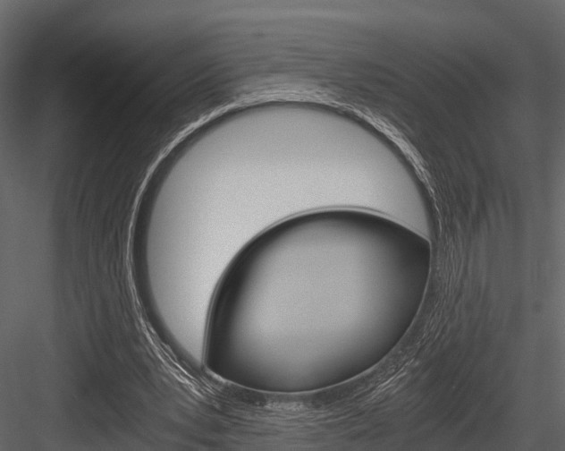 X0000084550391200702230940