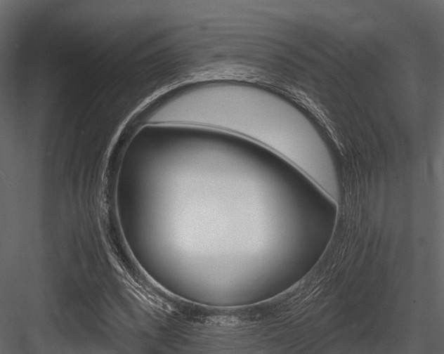 X0000084550392200702230940