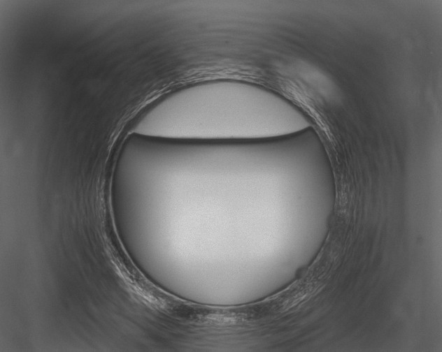 X0000084550394200702230940