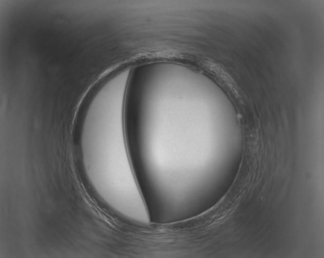 X0000084550395200702230940
