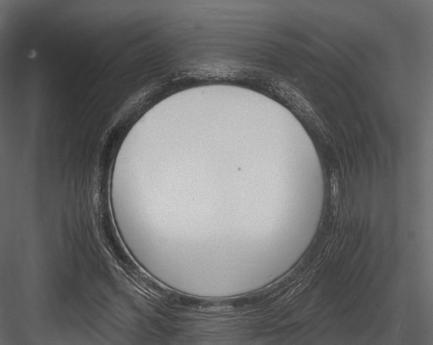 X0000084550396200702230940
