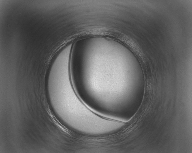 X0000084550397200702230940