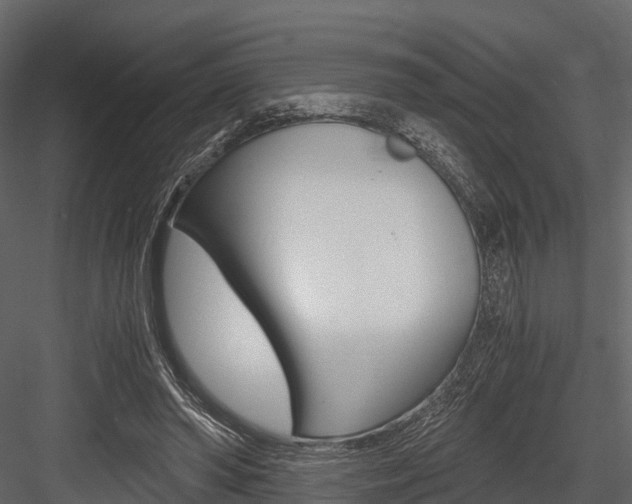 X0000084550398200702230940