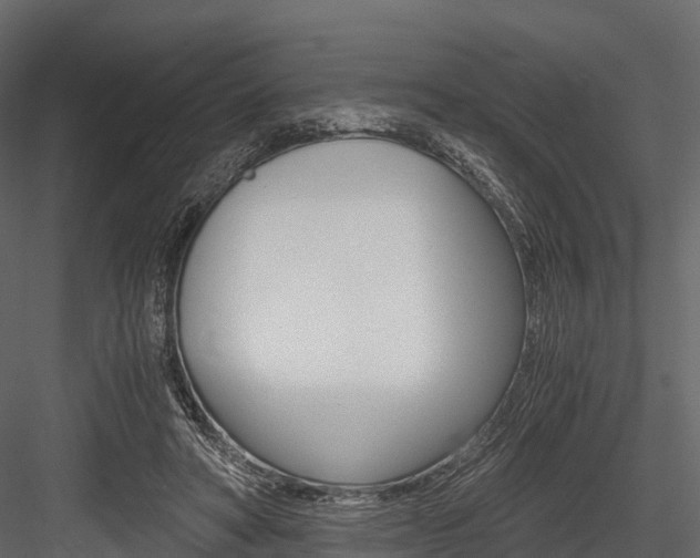 X0000084550402200702230940