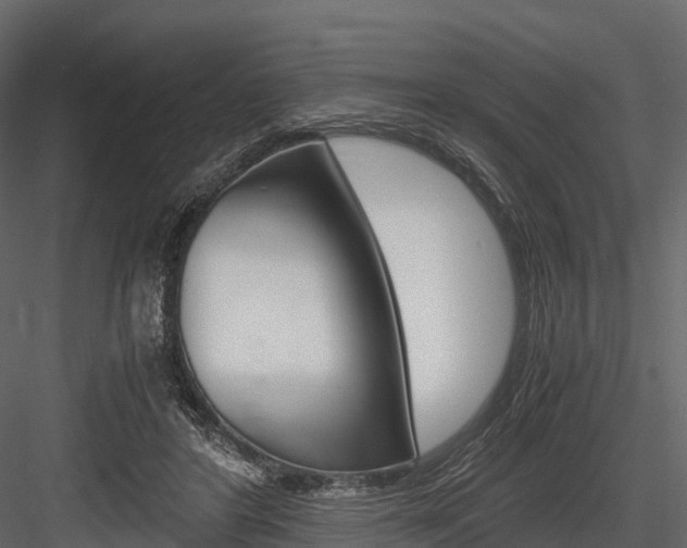 X0000084550404200702230940