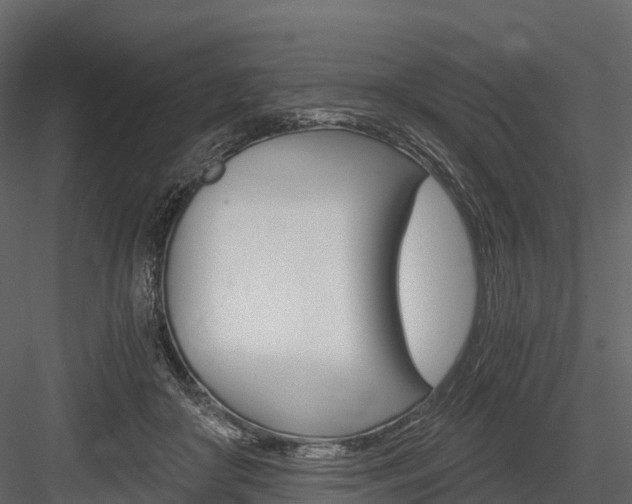 X0000084550410200702230940