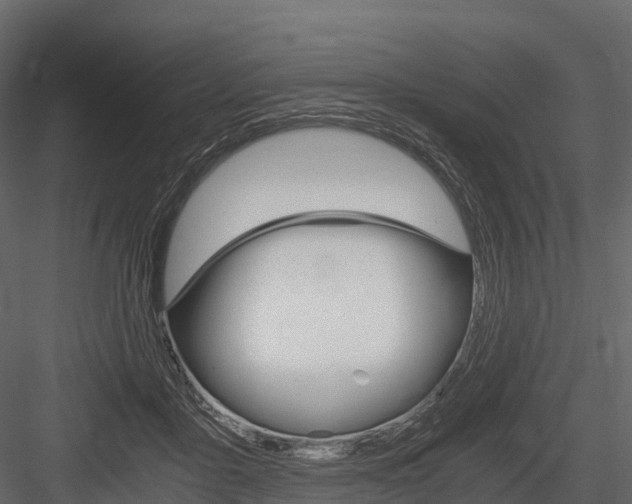 X0000084550411200702230940